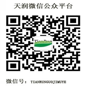 天润国际木业
